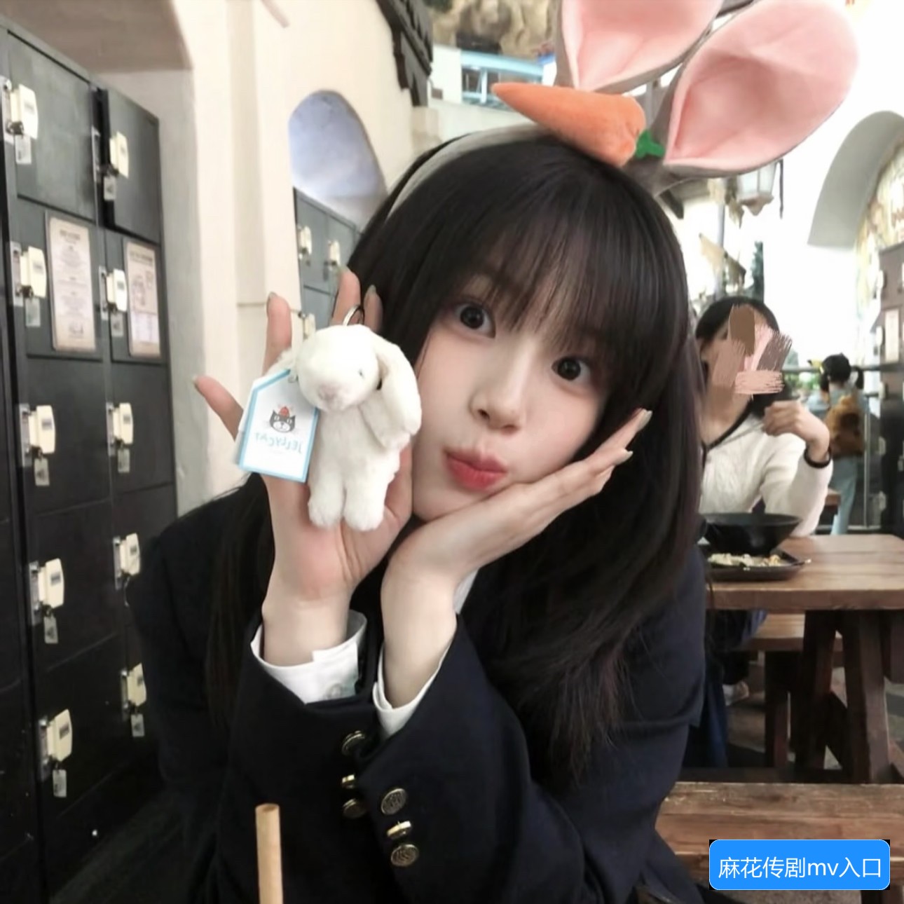 麻花传剧mv入口