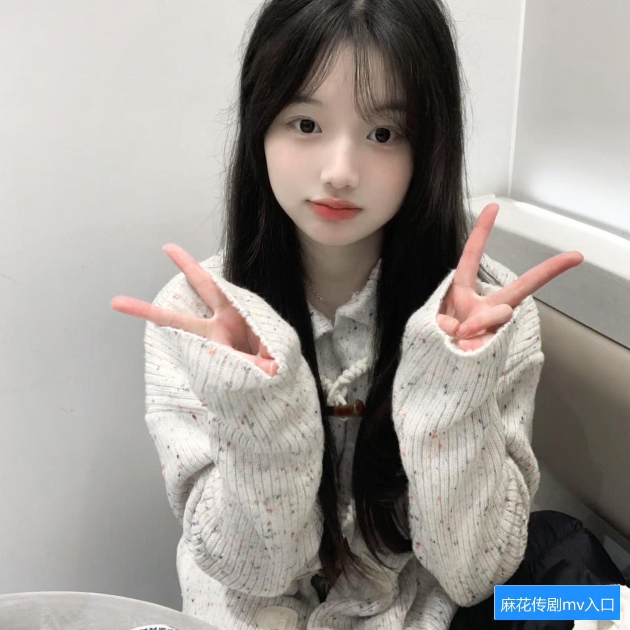 麻花传剧MV在哪里可以在线观看，蓝莓视频是否提供相关入口